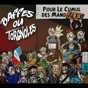Pour le Cumul des Mandales
