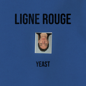 Yeast