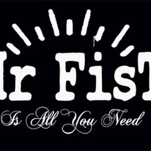 Mr FisT