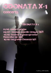 Odonata X-1