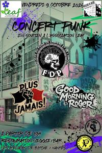Concert punk caritatif
