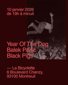 YEAR OF THE DOG ✦ BALEK PANIC ✦ BLACK PIGS