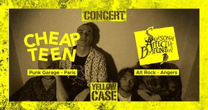 Cheap Teen (punk garage) + Seasonal Affective Dysfunction (punk rock)