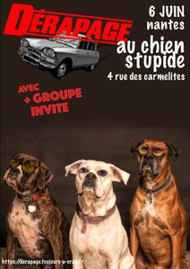 Dérapage au chien stupide, nantes, le 6 juin