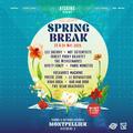 Spring Break - indoor & outdoor festival - Vendredi 23 et Samedi 24 mai 2025 - Victoire 2, Montpellier