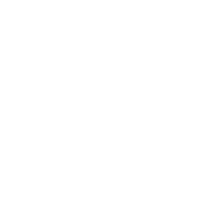 Left Bank Punk Prod